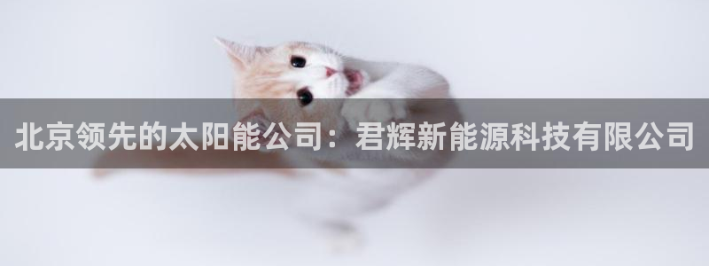 sunbet官网代理下载