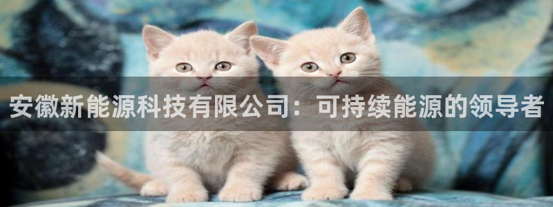 sunbet官网welcome