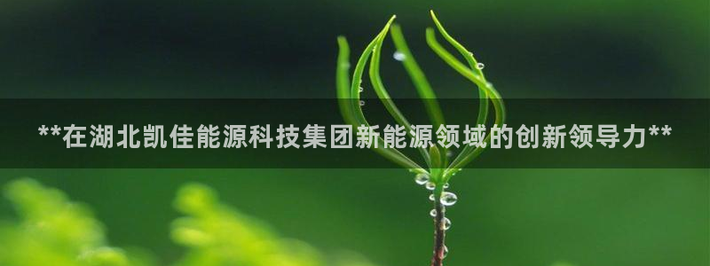 sunbet最新消息