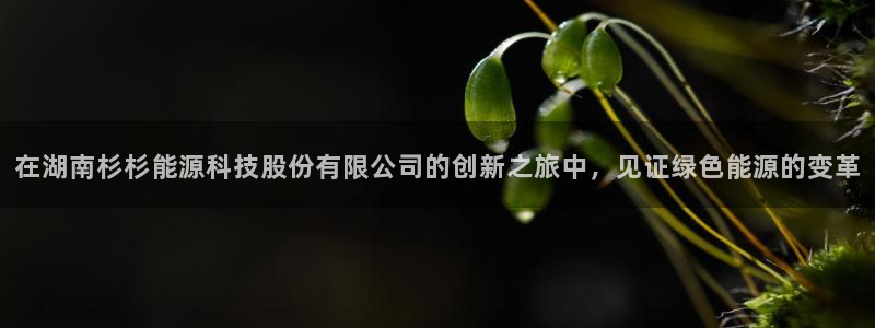 sunbet程序