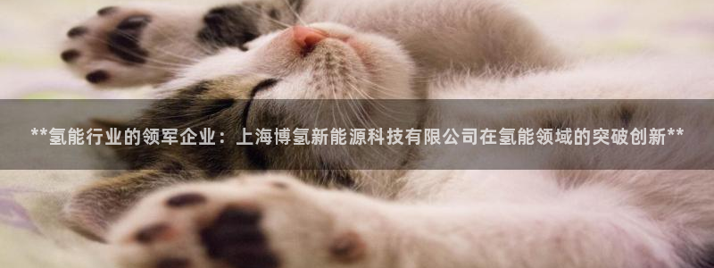 sunbet官网welcome