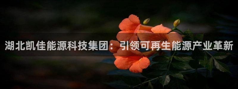 申博手机网址