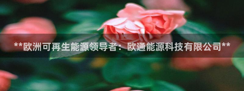 申博手机版官网
