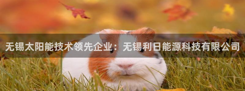 申博视讯