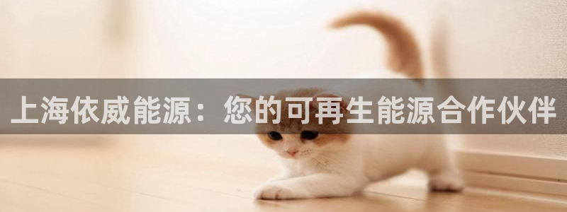 申慱sunbet版app