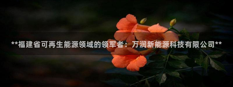 申博官方网站手机版下载