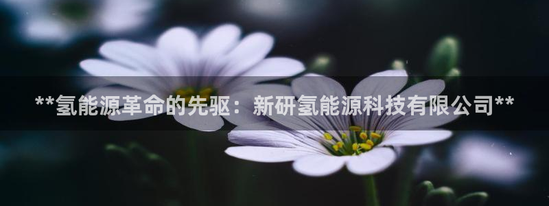 sunbet手机网页版下载