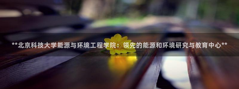 sunbet手机网页版本
