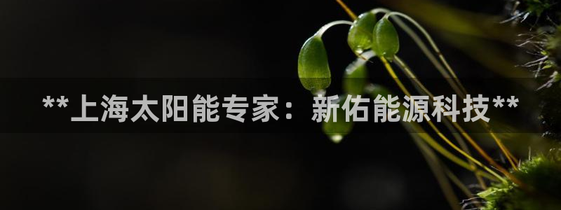 申博视讯