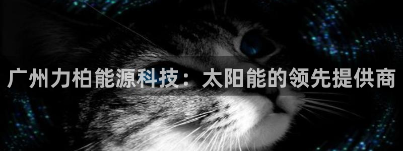 申博官网电脑版下载