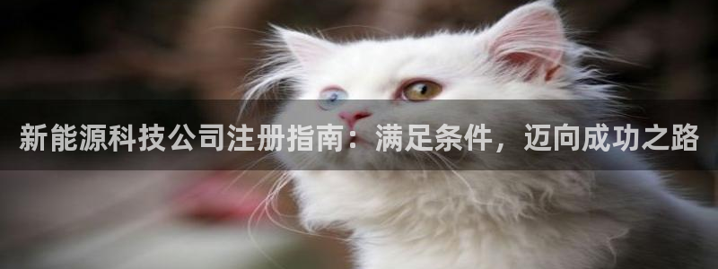 sunbet苹果官网下载