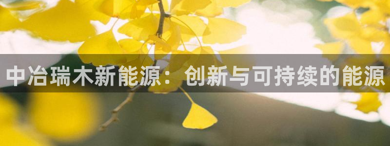 sunbet游戏网