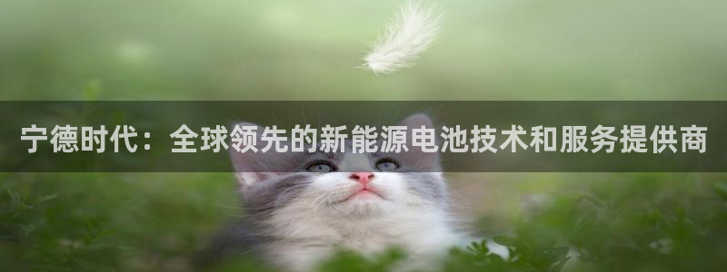 sunbet中国官网