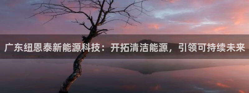 sunbet手机端