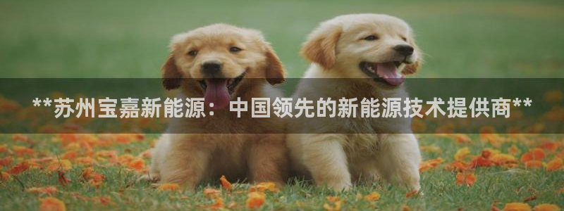 sunbet手机版官网下载