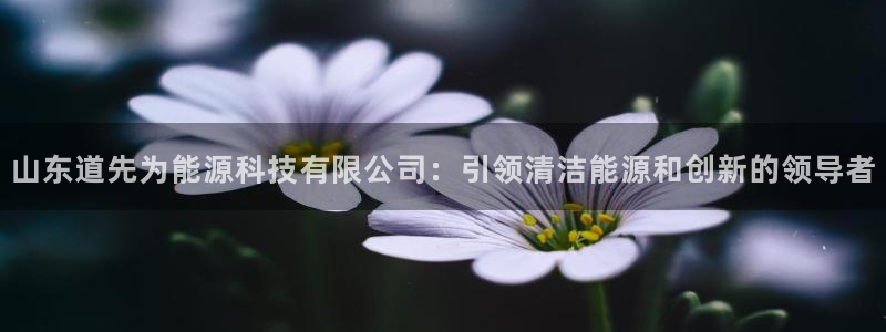 sunbet申搏官网