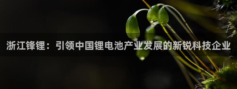 申博官网手机版下载app