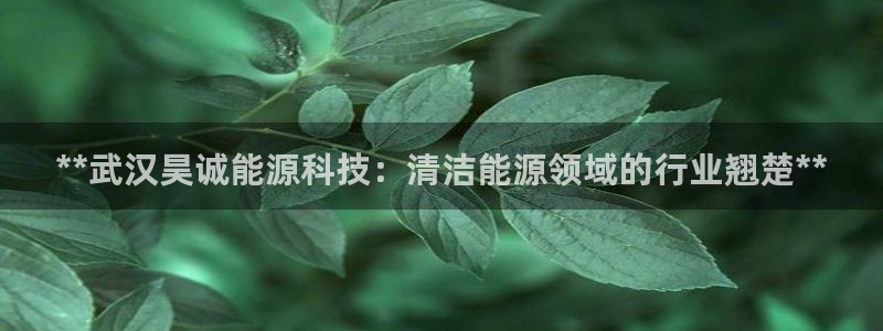 申博app下载