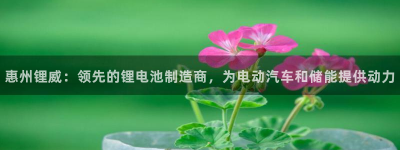 sunbet官网welcome