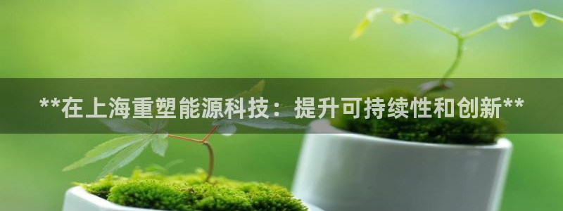 sunbet官网代理下载