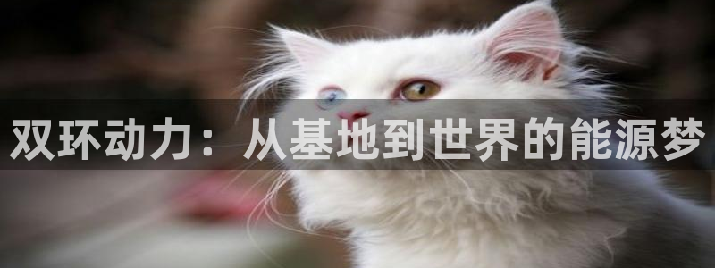 sunbet申搏官网