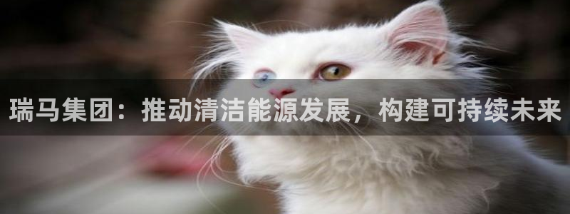 sunbet官网手机版登录