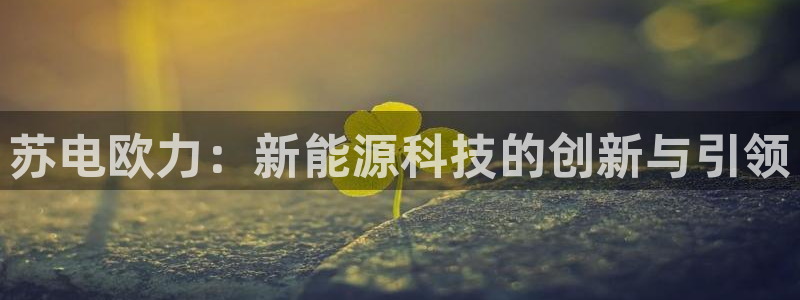 sunbet中文