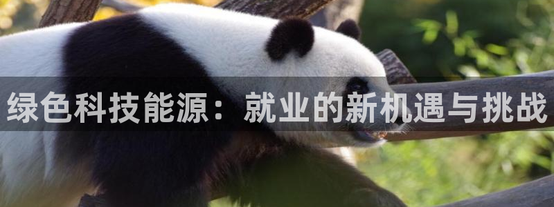 sunbet手机网页版下载