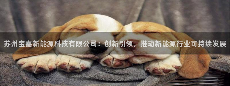 sunbet中文