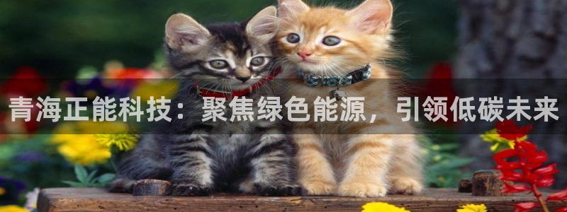 sunbet手机网页版本