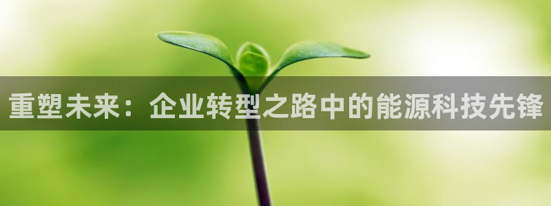 sunbet手机网页版