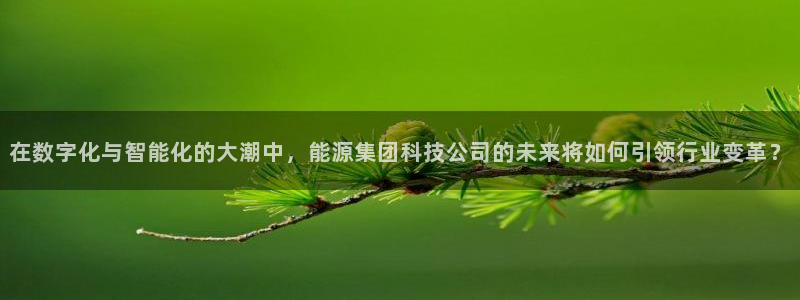 sunbet游戏最新版