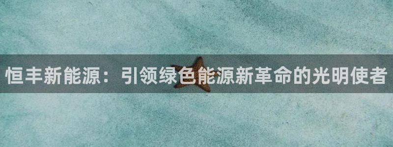 sunbet英语翻译