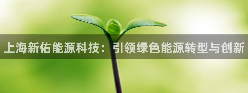 申博官方网站手机版下载