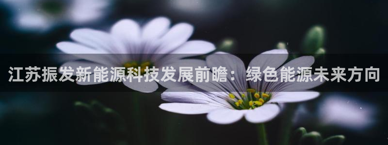 sunbet游戏