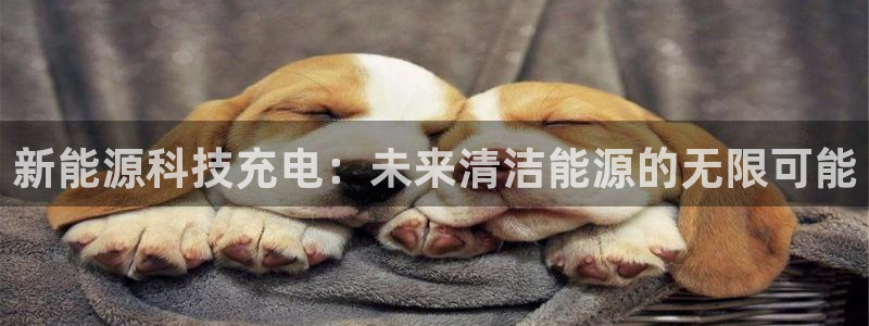 sunbet中文