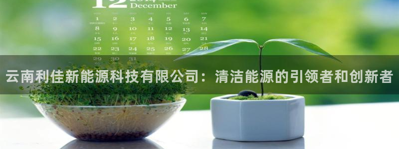 sunbet最新消息