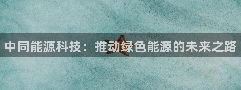 sunbet源码