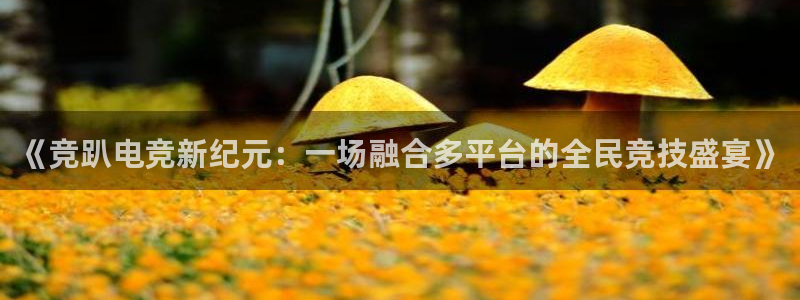 泛亚电竞app官网入口：《竞趴电竞新纪元：一场融合多平台的全民竞技盛宴》