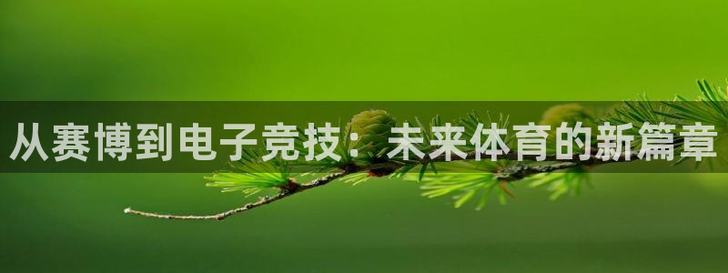 泛亚电竞官方版：从赛博到电子竞技：未来体育的新篇章