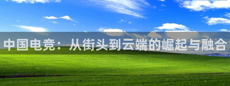 泛亚电竞最新版：中国电竞：从街头到云端的崛起与融合
