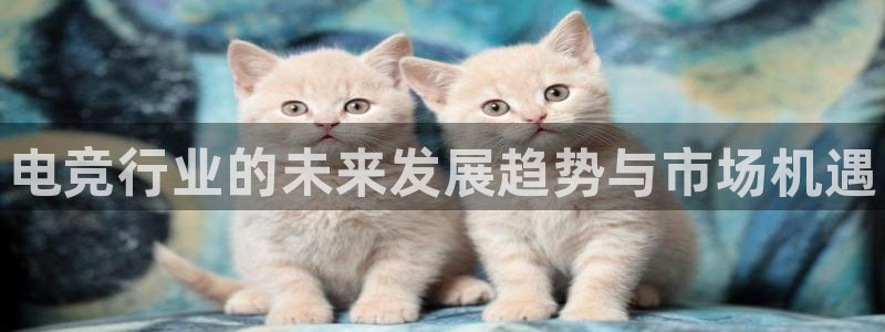泛亚电竞手机版下载：电竞行业的未来发展趋势与市场机遇