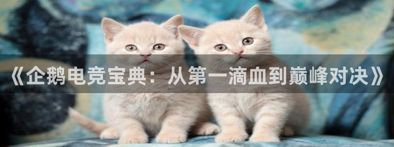 泛亚电竞内部：《企鹅电竞宝典：从第一滴血到巅峰对决》