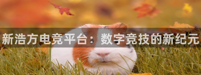 泛亚电竞lol官网：新浩方电竞平台：数字竞技的新纪元