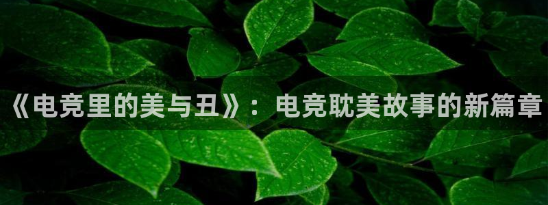im电竞和泛亚电竞哪个好：《电竞里的美与丑》：电竞耽美故事的新篇章