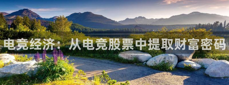 泛亚电竞对刷：电竞经济：从电竞股票中提取财富密码