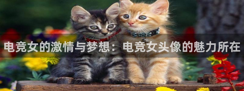 泛亚电竞对刷：电竞女的激情与梦想：电竞女头像的魅力所在
