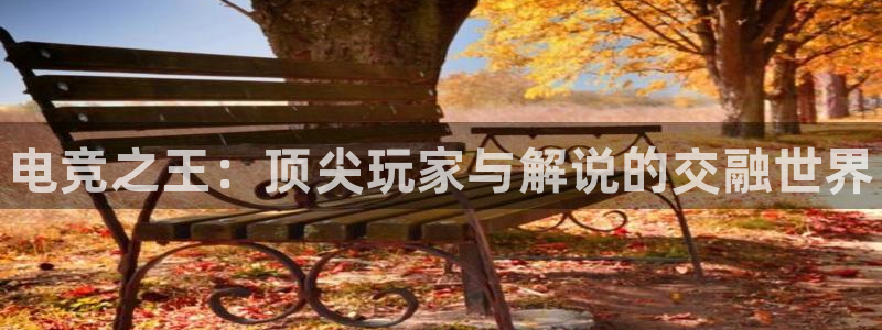泛亚电竞平台app：电竞之王：顶尖玩家与解说的交融世界