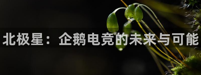 泛亚电竞最新版下载：北极星：企鹅电竞的未来与可能