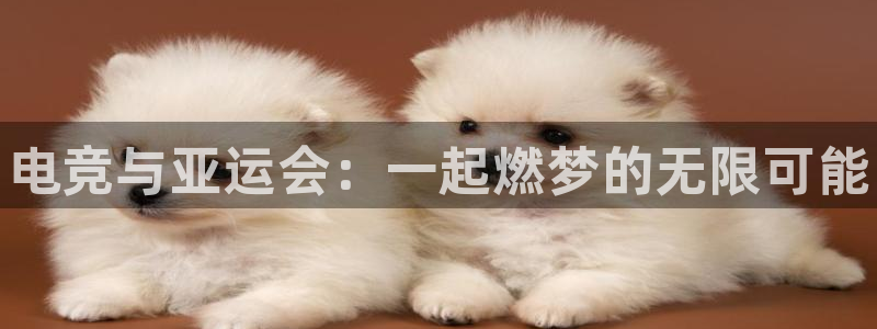 泛亚电竞首页app官方下载：电竞与亚运会：一起燃梦的无限可能